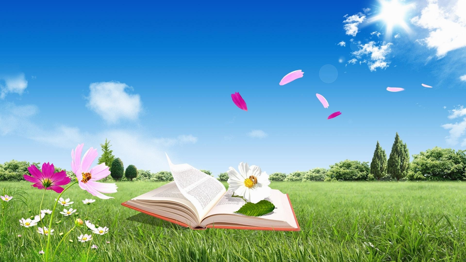 5. book-wallpaper-free-Download6-600x338