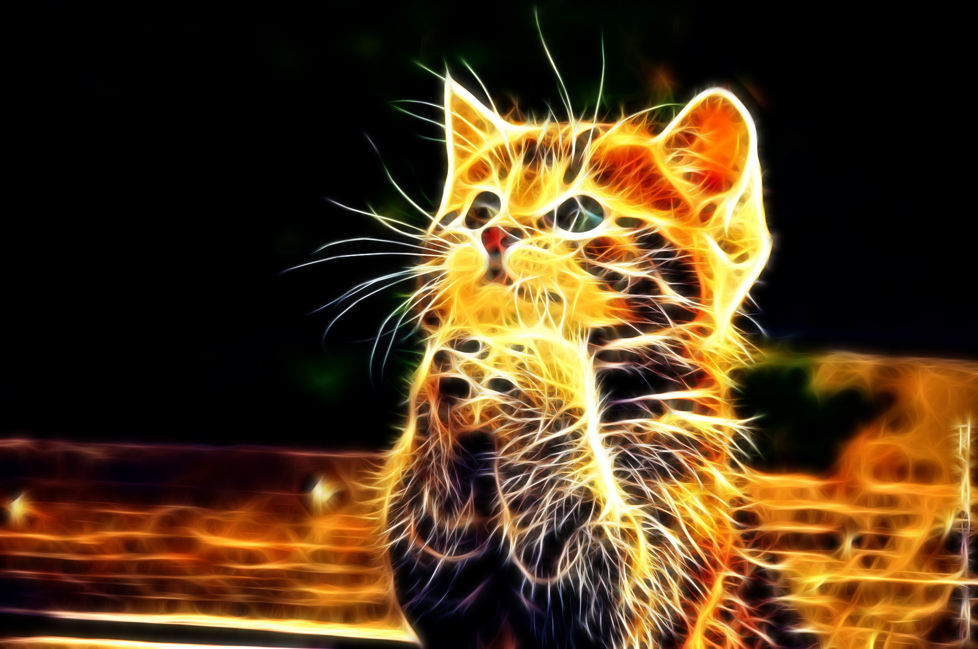 Sfondi 3D per desktop - immagini gattino