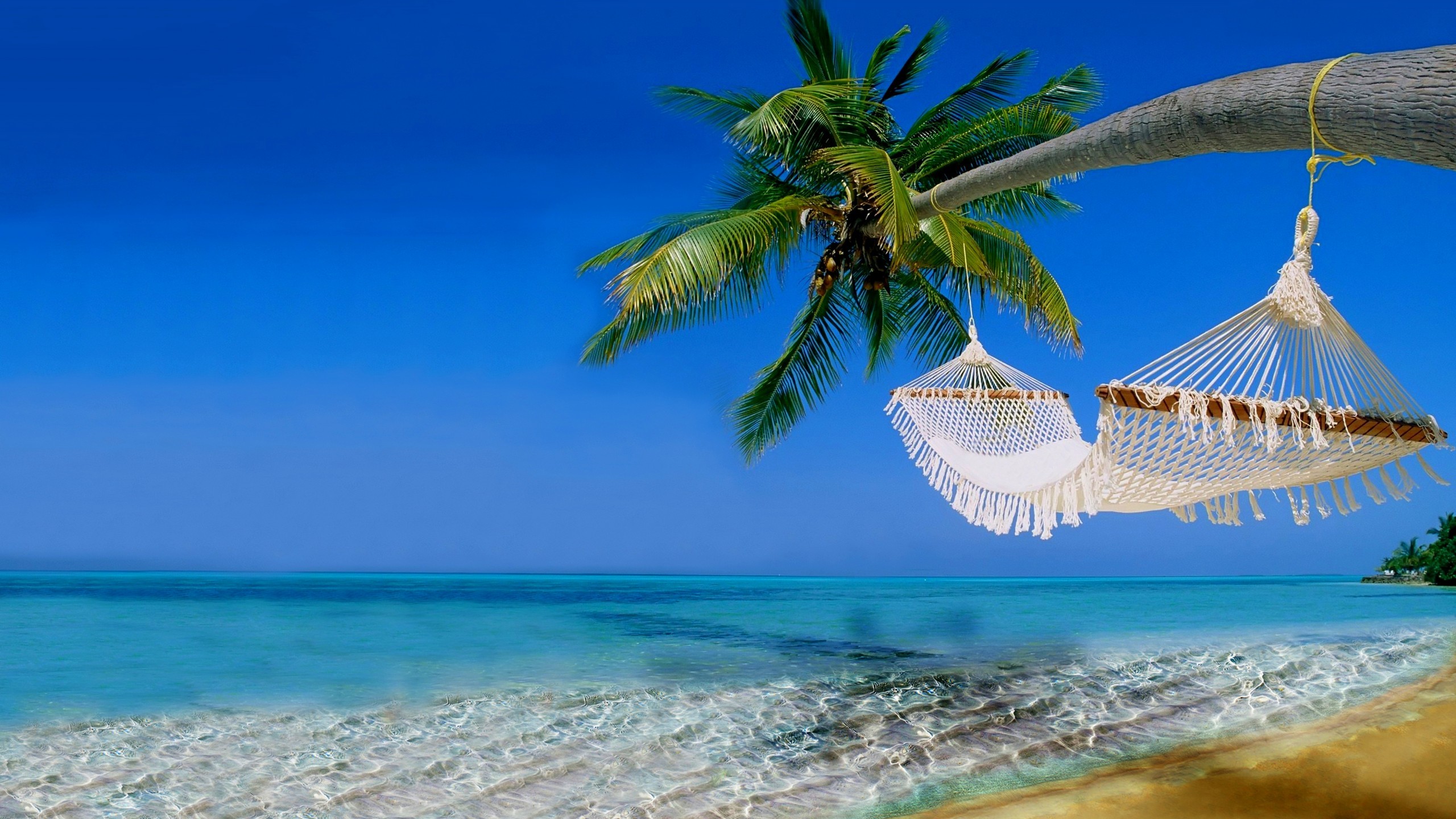 Nature / Tropical beach Wallpaper