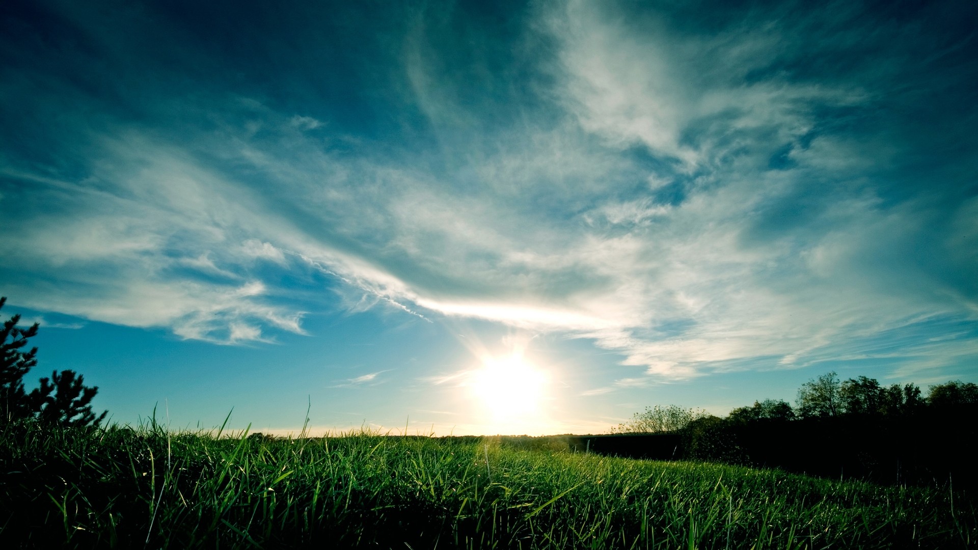 Shining Sun Wallpaper