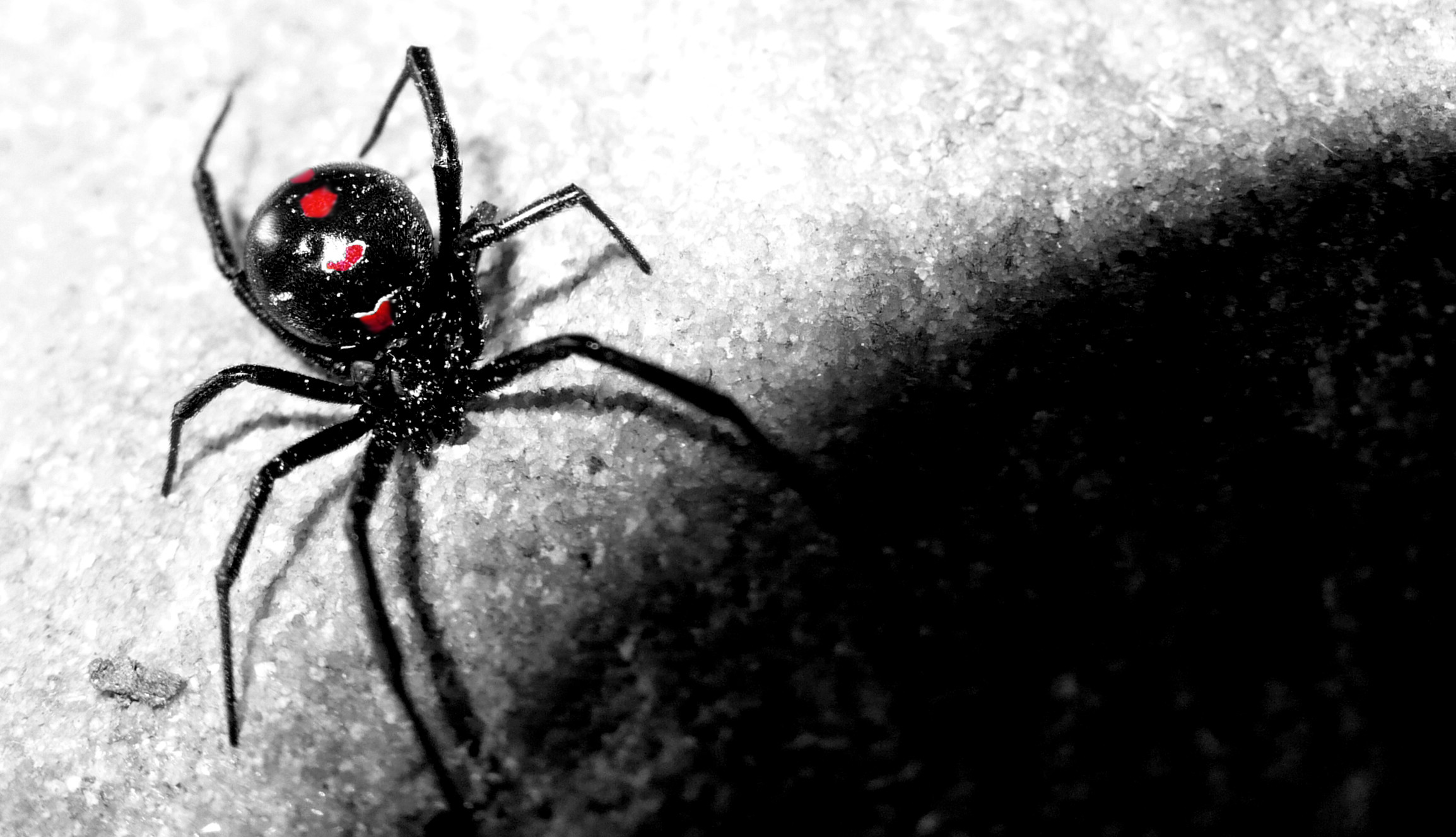 Tim Burton Wallpapers Wallpaper | HD Wallpapers | Pinterest | Tim burton  and Wallpaper