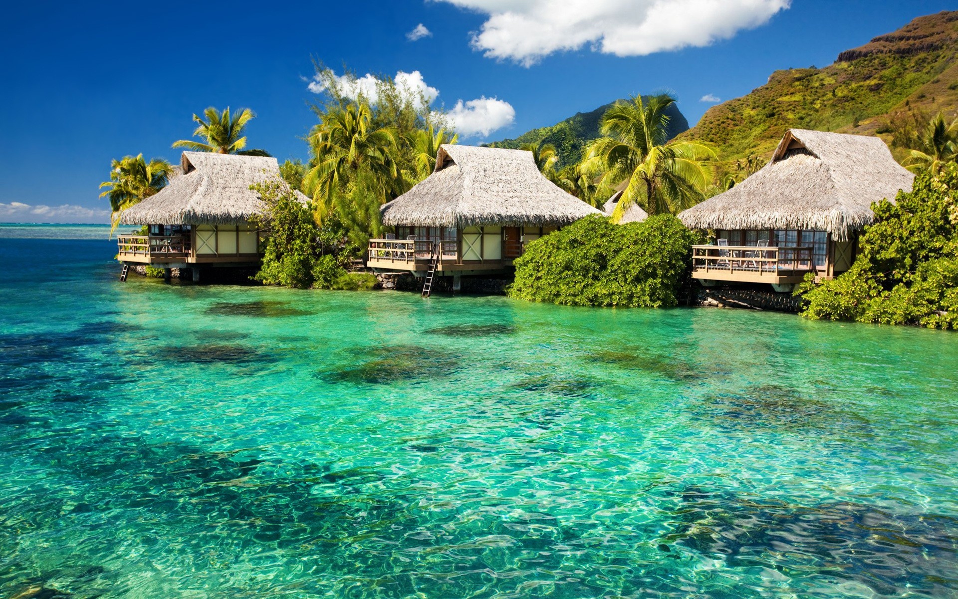 Polynesia Beach HD Wallpaper