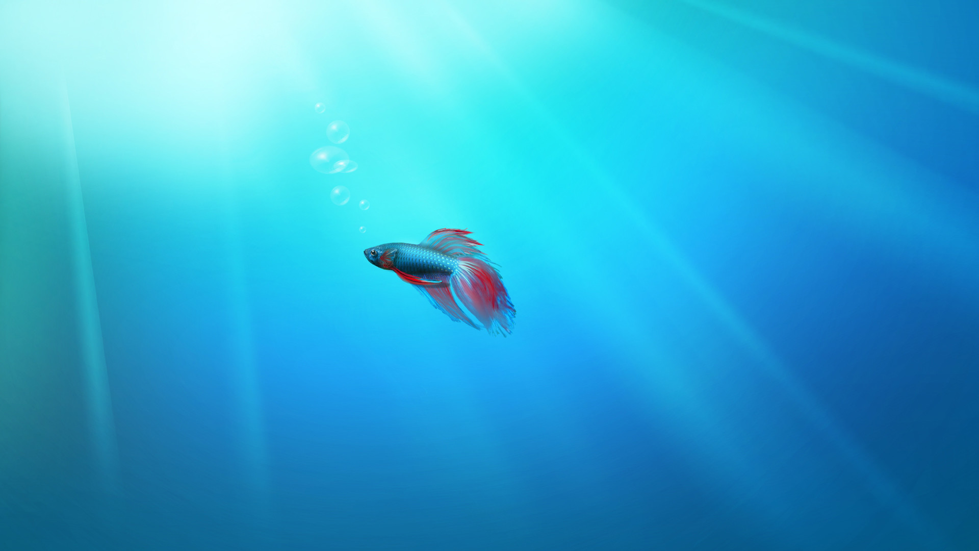 Free HD Windows 7 Wallpaper - Wicked Wallpaper - FREE HD wallpapers | HD  Computers Wallpapers | Pinterest