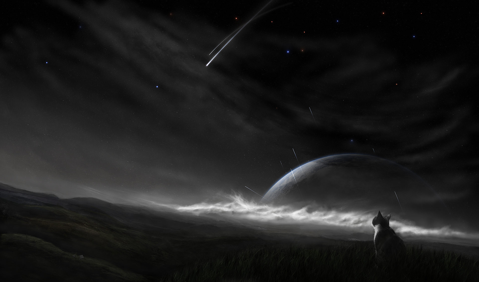 sfondo, wallpaper, Animali, Gatto,Luna,Stelle cadenti, nottedagatti.jpg