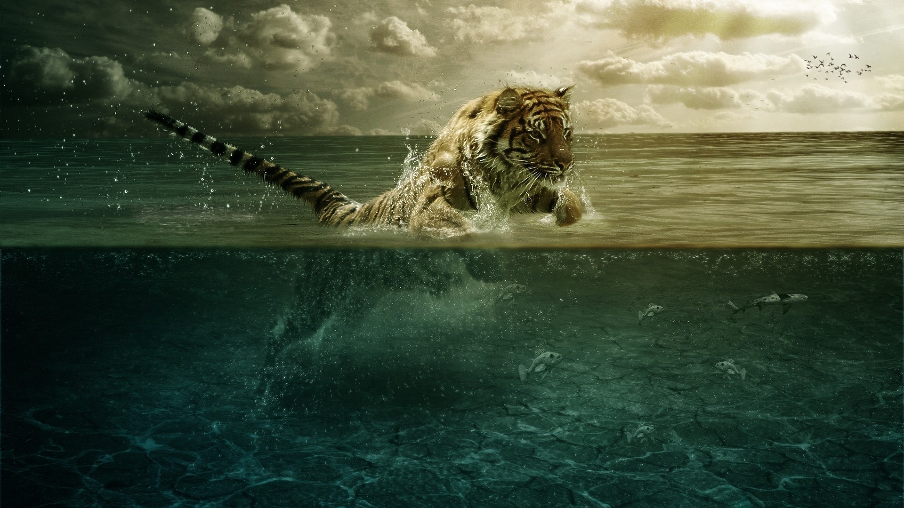 Прыгающий из воды тигр загрузить
