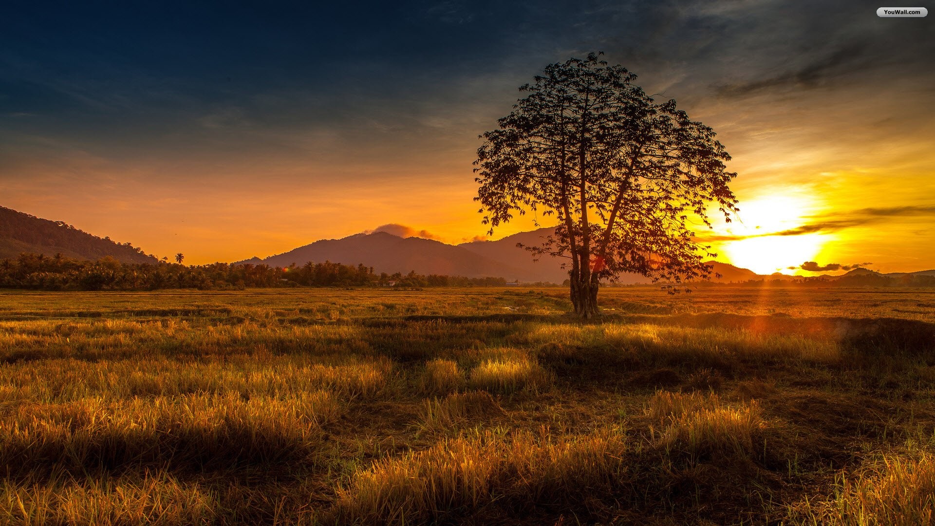 Beautiful Sunset Wallpaper