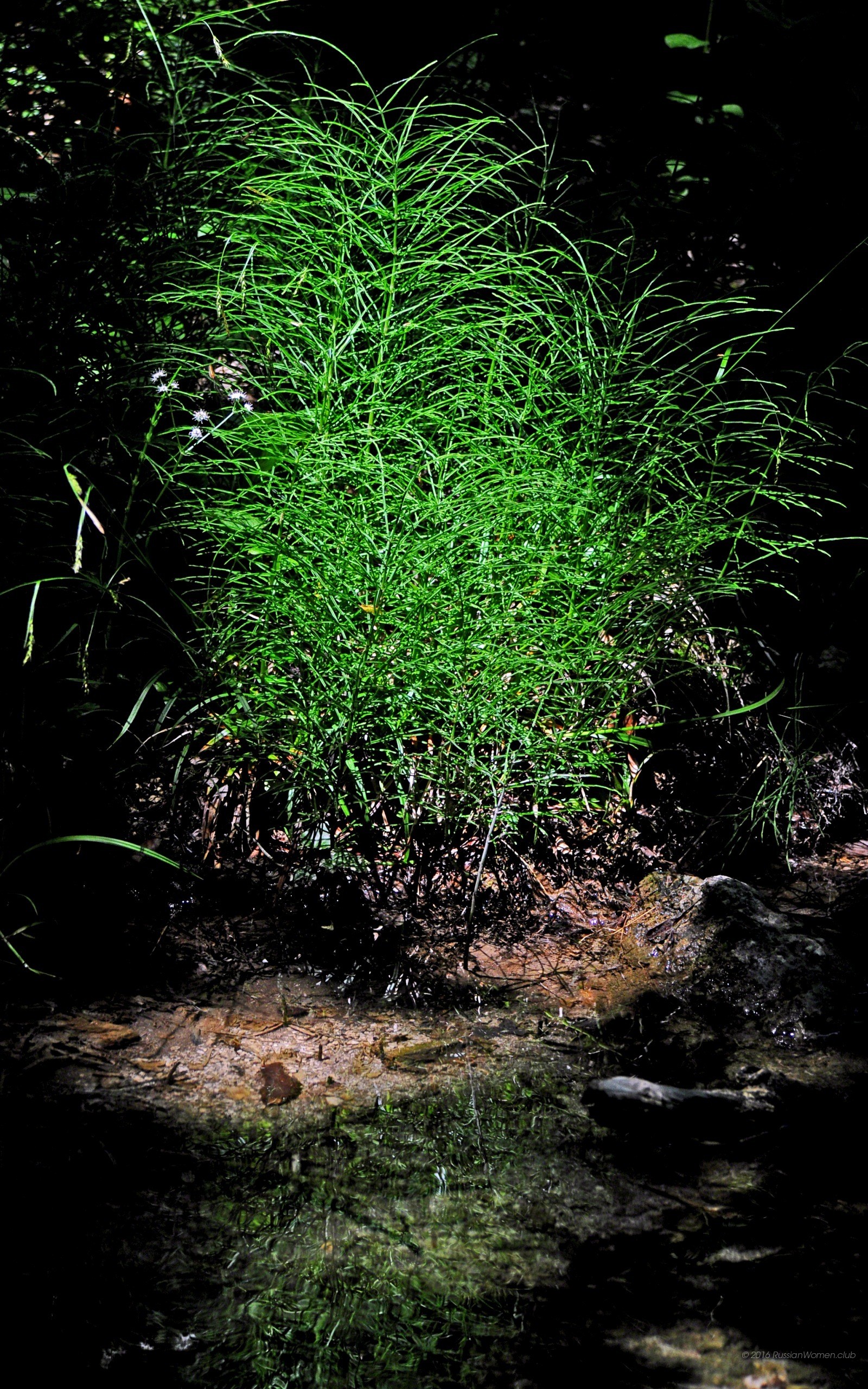 1600x2560 Phablet: sfondi cellulari hd