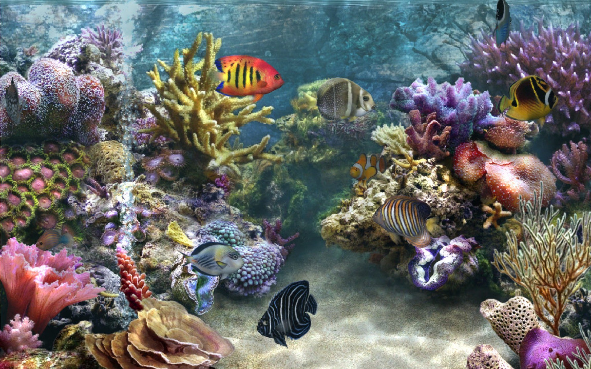 Природа подводный мир. Подводный риф риф. Морское дно. Подводный мир кораллы. Красивые подводные пейзажи.