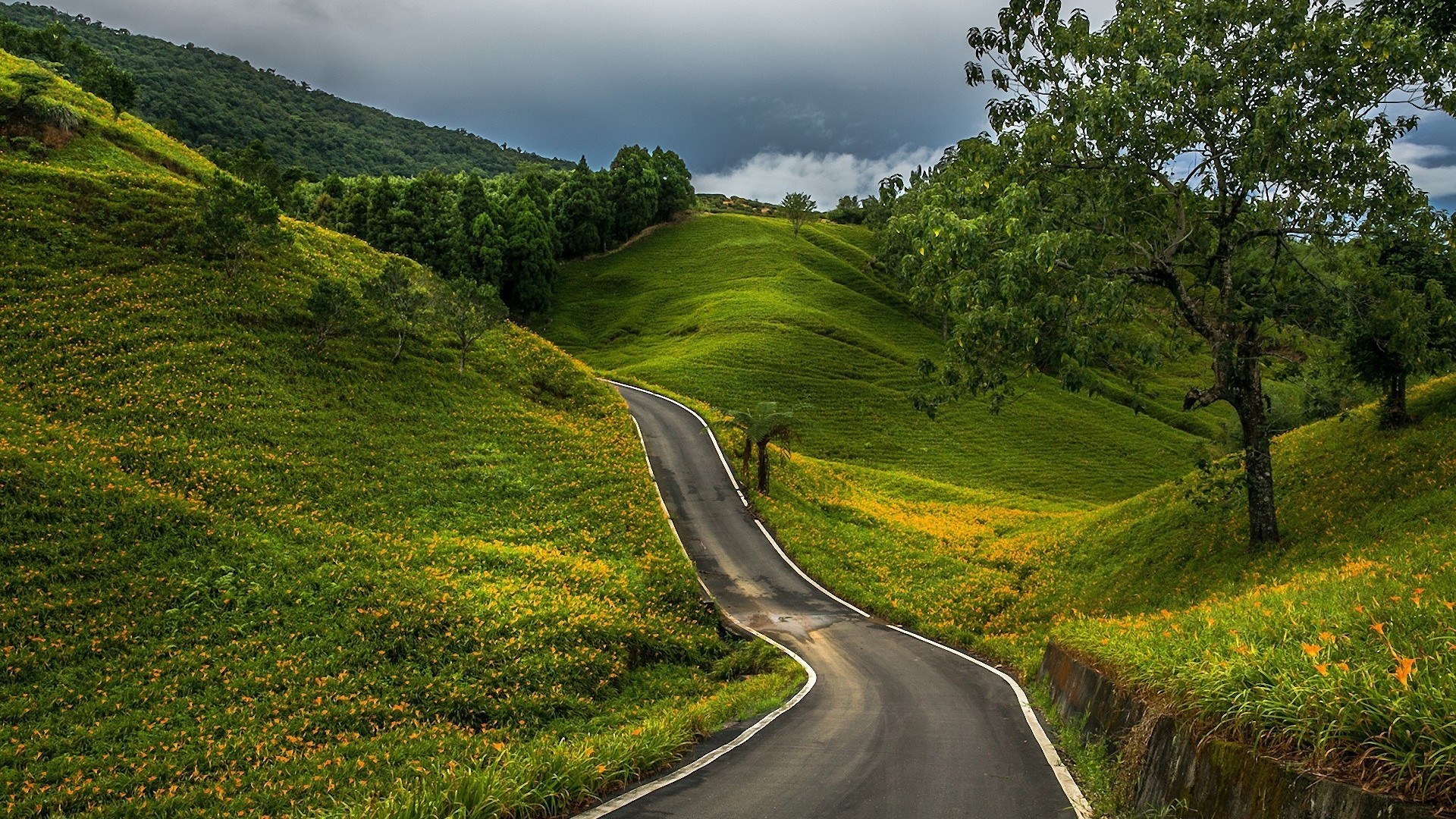 Beautiful Road Desktop Wallpapers