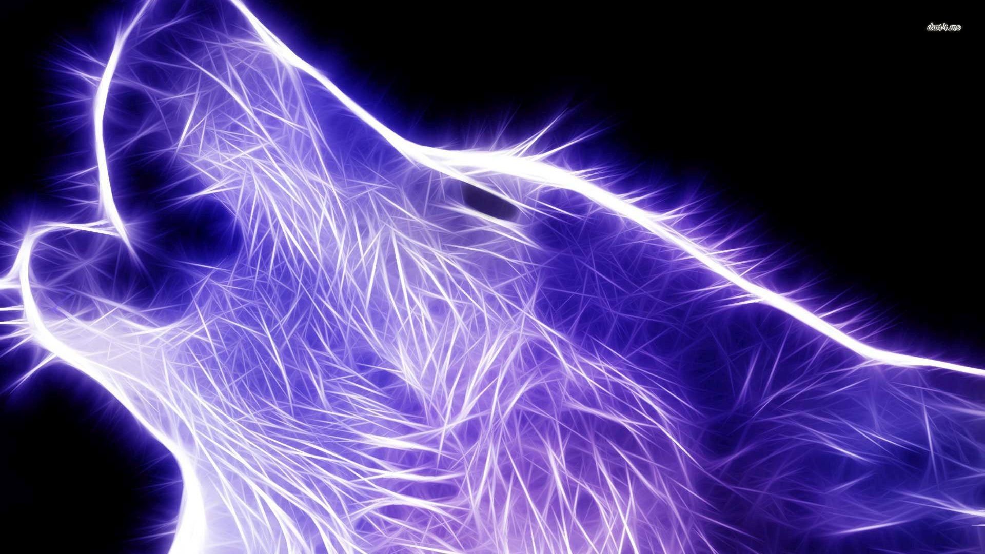 lightanimals | Animal Wallpaper Light cool animal hd wallpaper light shadow  - animals .