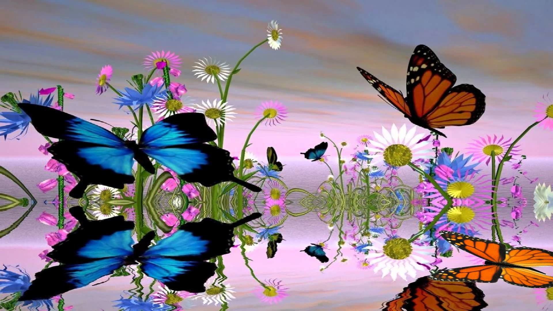 Движущиеся обои на заставку. Бабочка на цветке. Фон бабочки. Красивый фон с бабочками. Сверкающие бабочки.