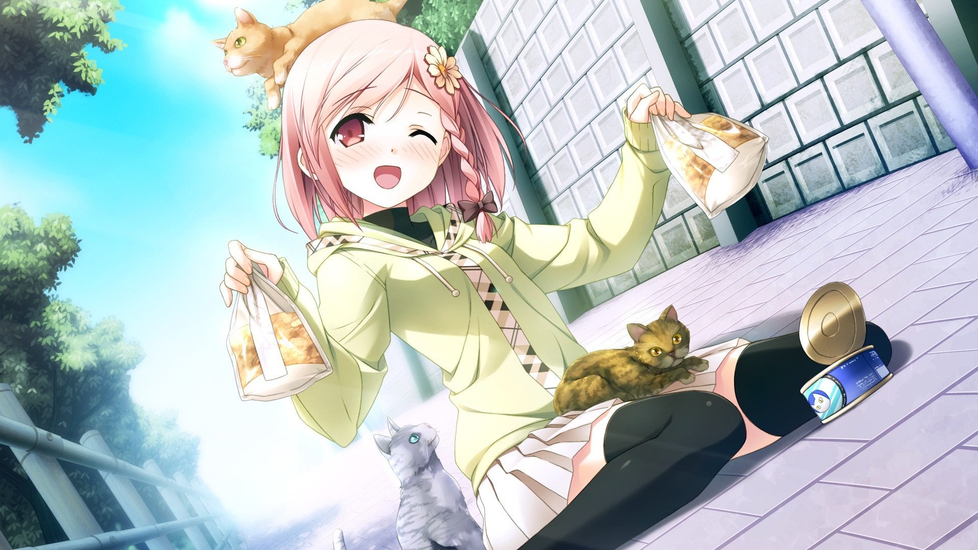 Anime Wallpaper