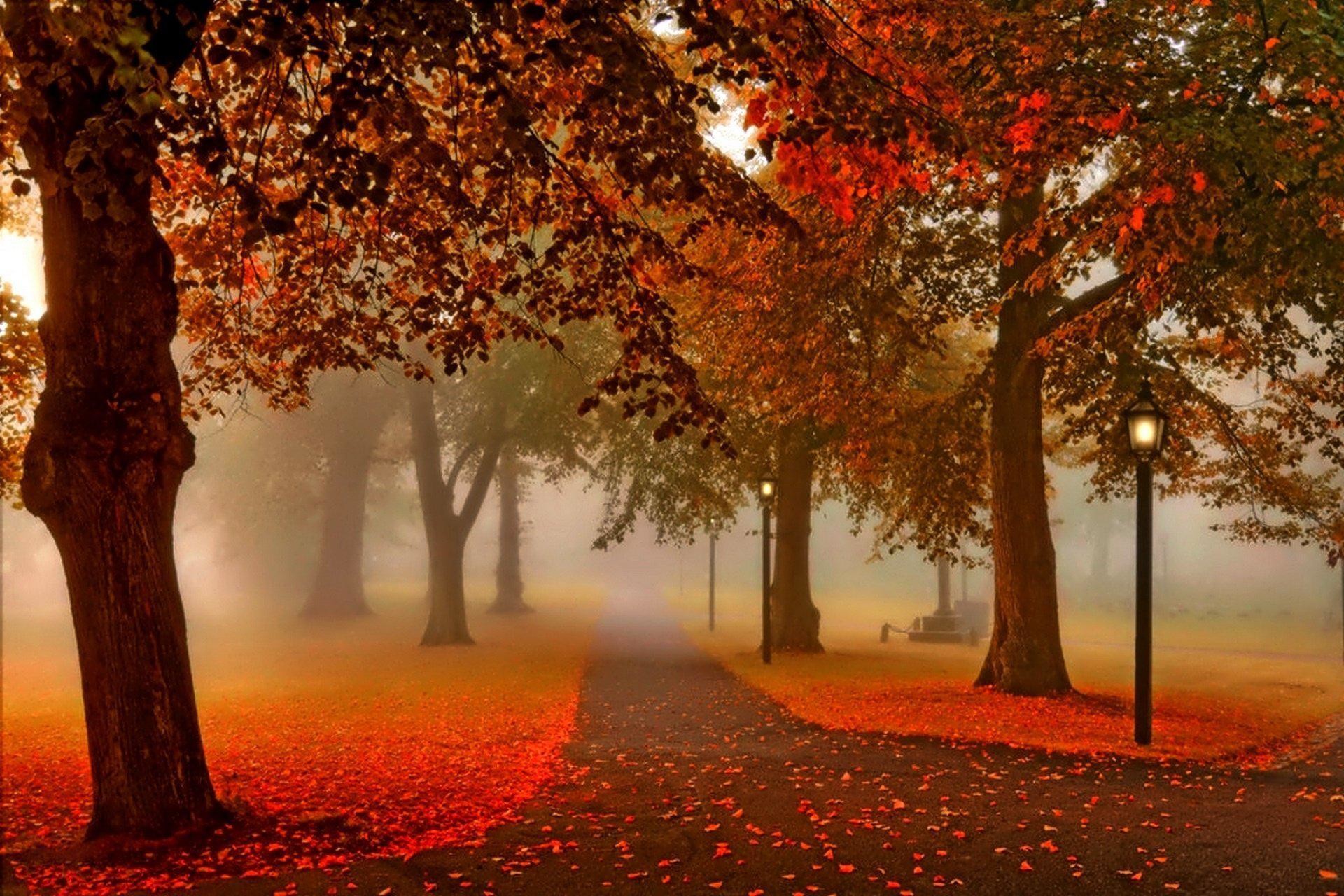 Autunno sfondi 48 immagini for Foto autunno per desktop gratis