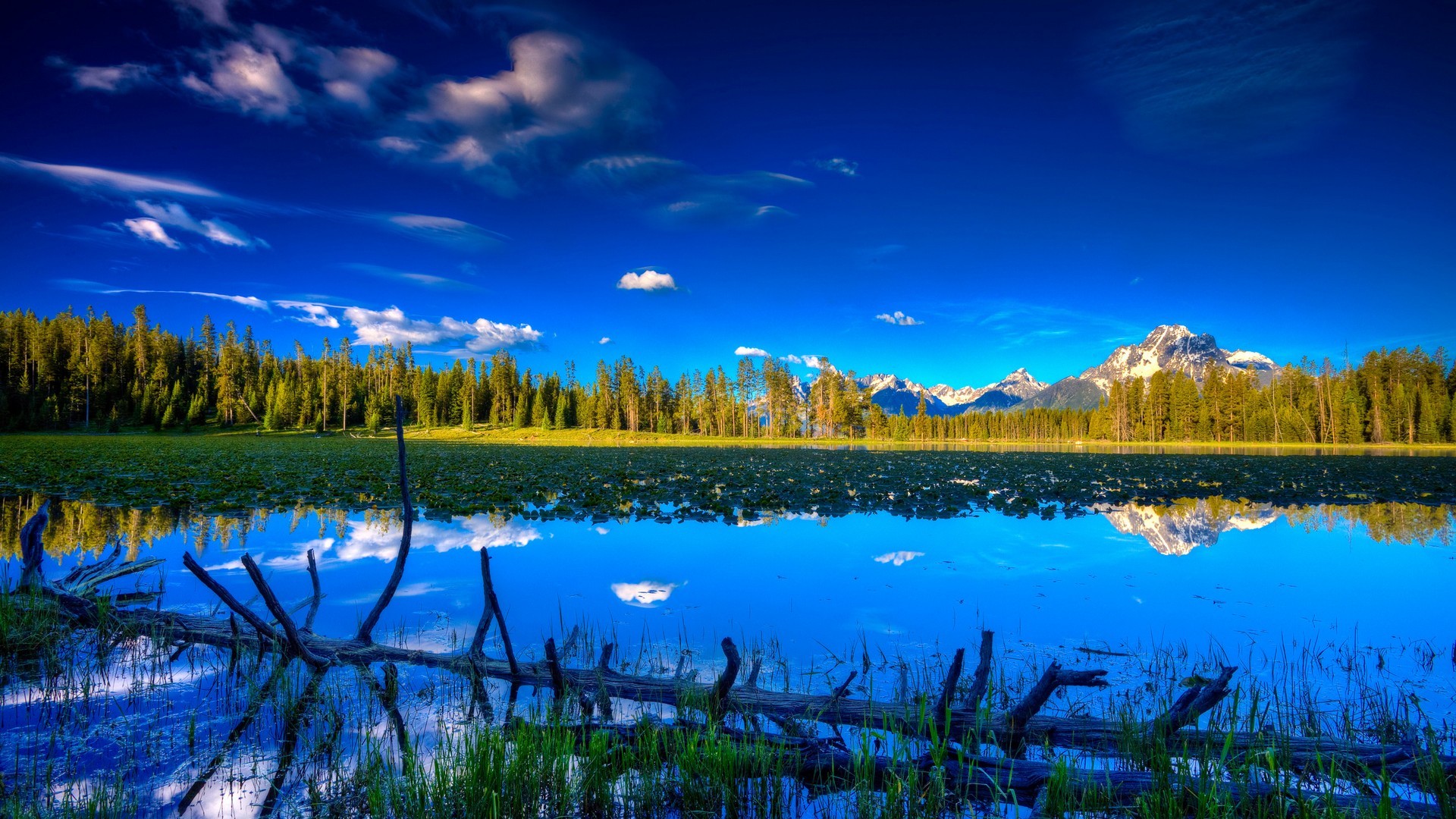 Sfondi Windows 10 Full HD 80 Immagini 