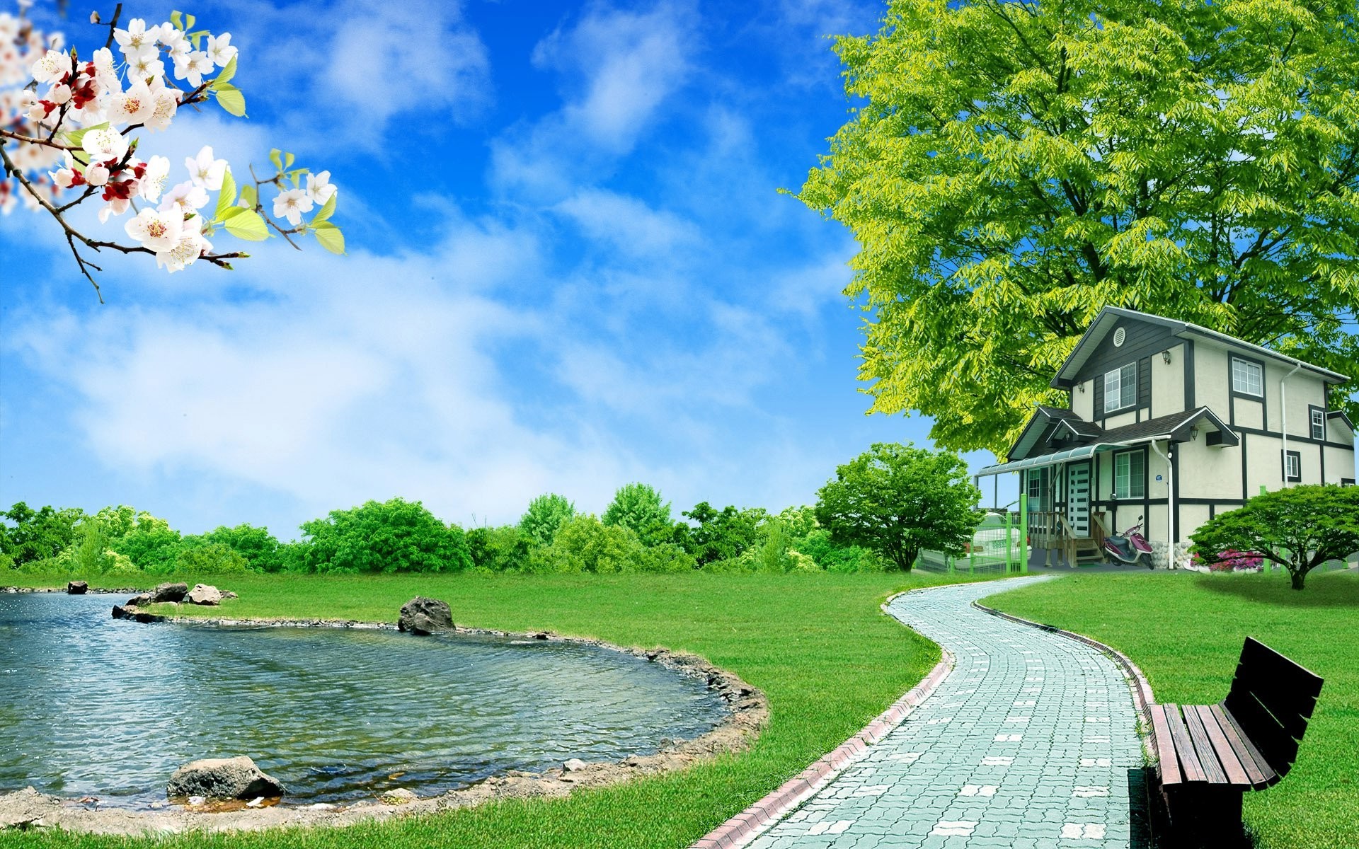 3D images of nature