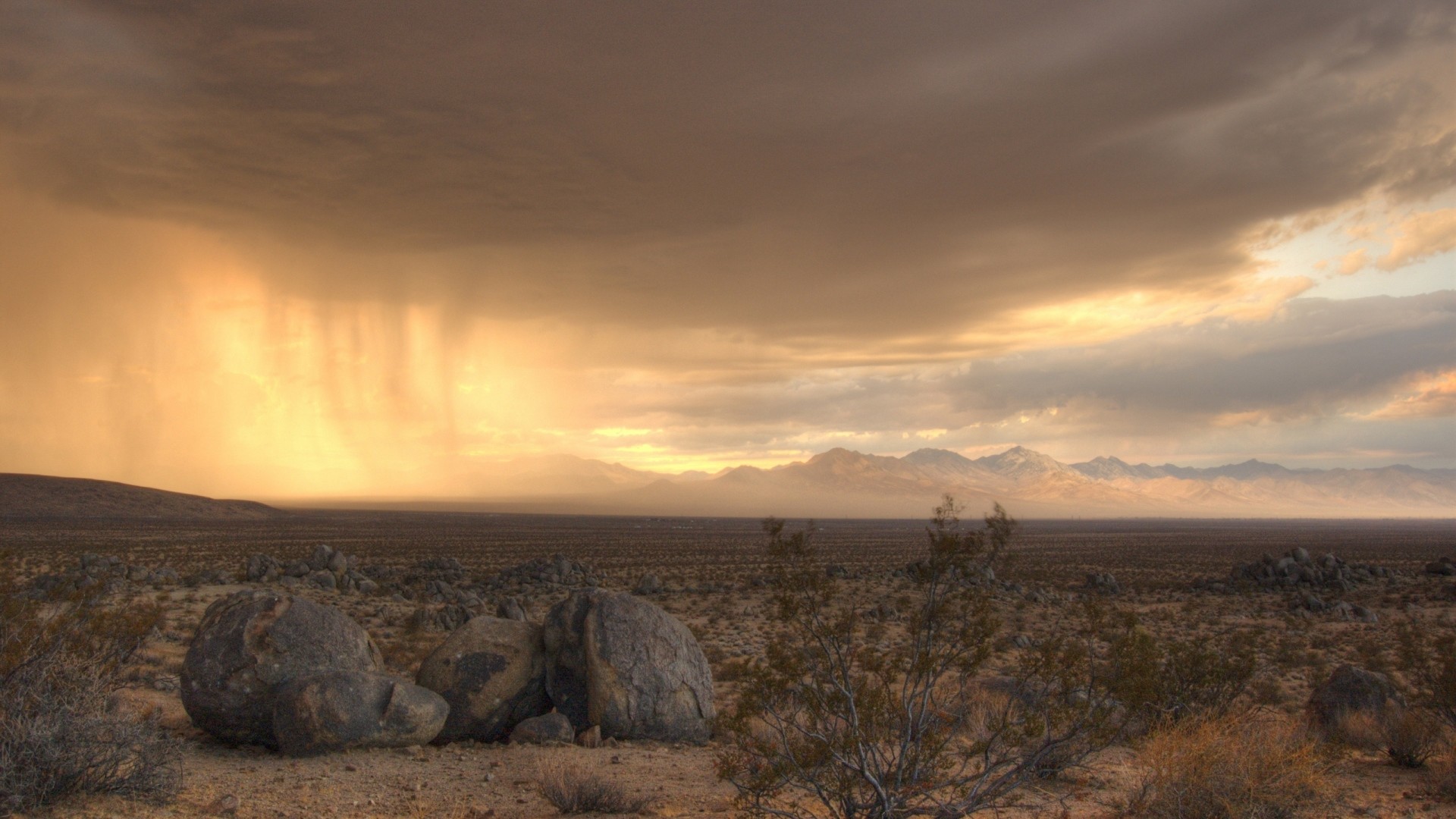 1920x1080 Wallpaper desert, stones, sky, bushes, clouds, rain, distance