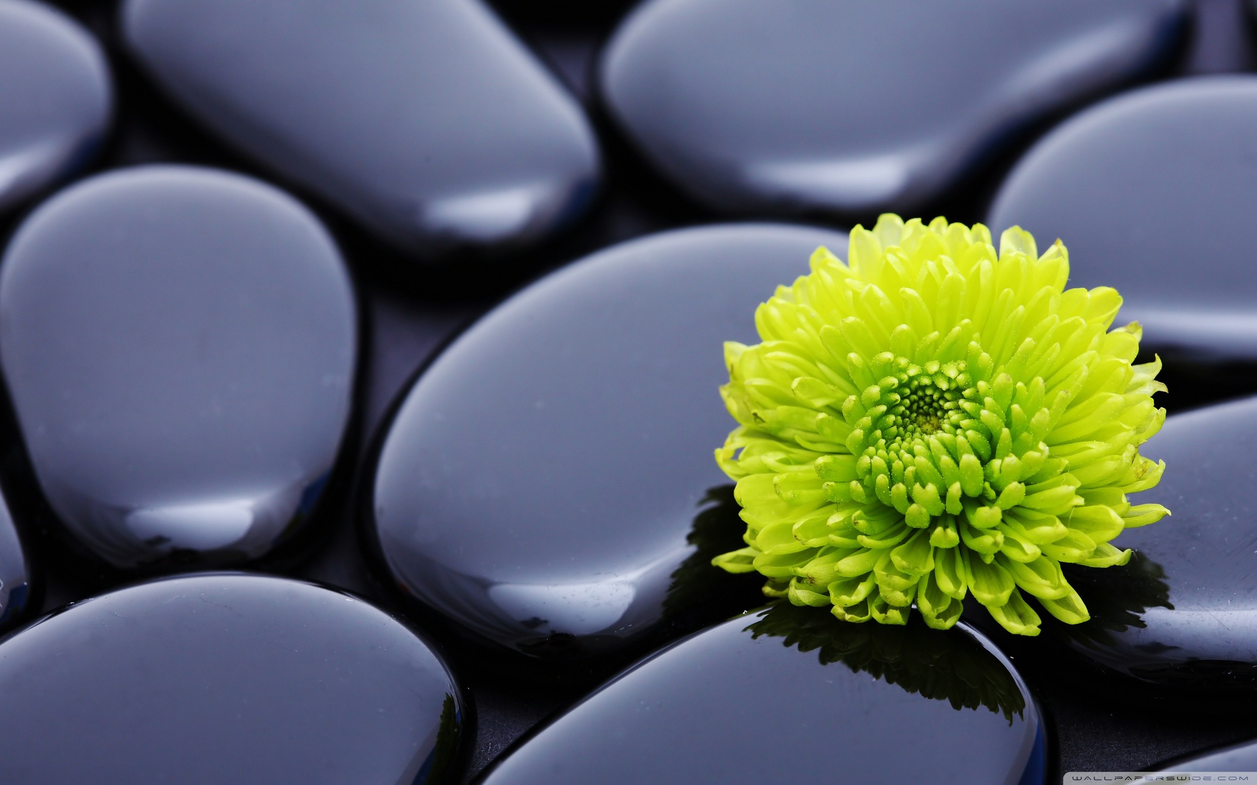 Zen-wallpaper2-1024x640