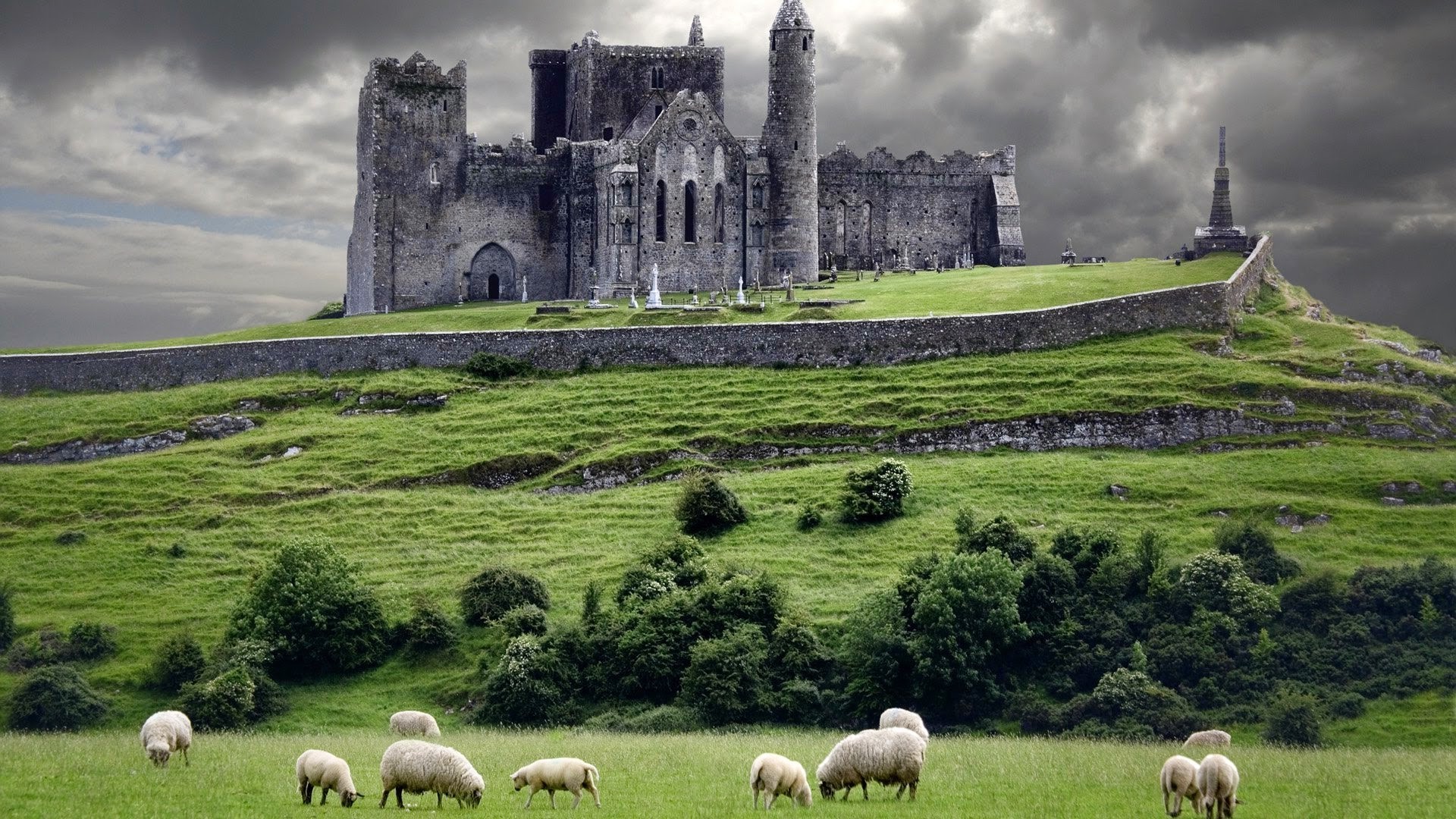 castle, Animals, Landscape, Ireland Wallpapers HD / Desktop and Mobile  Backgrounds