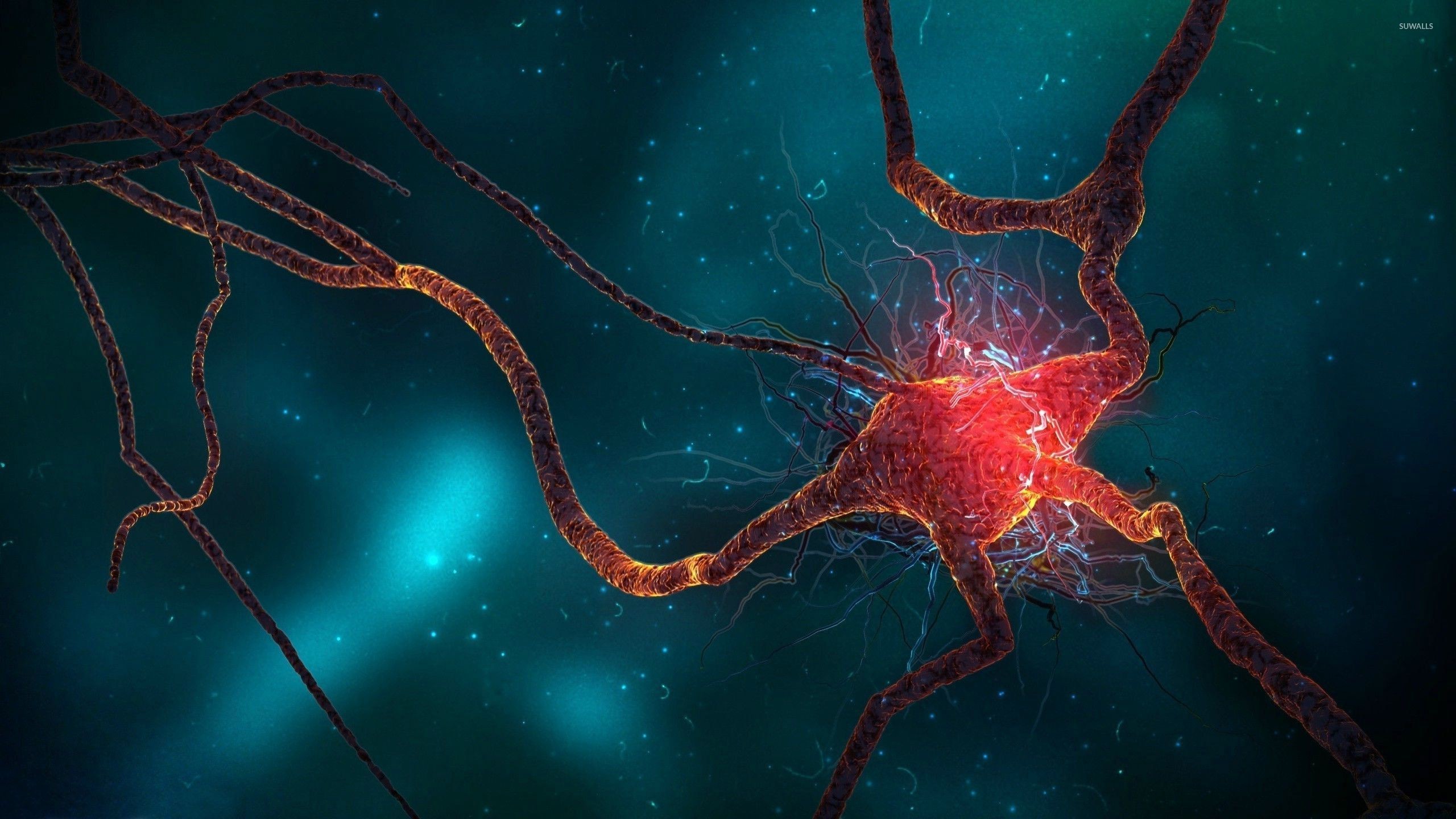 Brain cell wallpaper