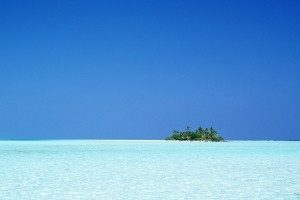 Sfondi Tropicali