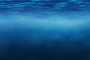 Underwater Wallpaper