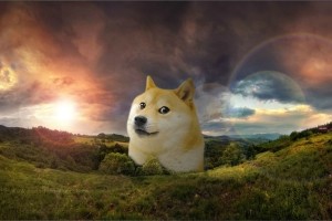 Doge Wallpaper