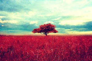 Vintage Wallpaper HD