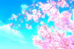 Sakura Wallpaper