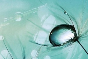 Sfondi Acqua