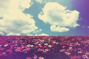 We Heart It Sfondi