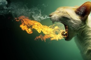 Wallpaper HD PC
