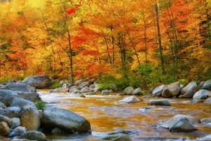 Sfondi Desktop Autunno