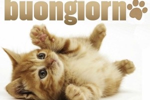 Sfondi Buongiorno
