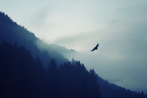 Wallpaper 4K