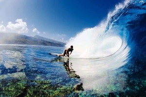 Surf Wallpaper