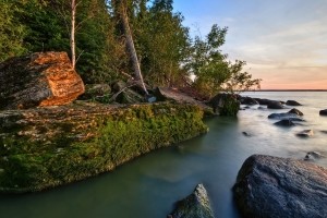 Sfondi Natura HD