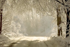 Sfondi Inverno