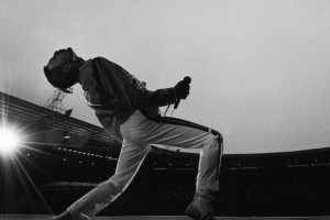 Freddie Mercury Wallpaper