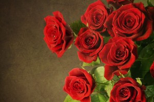 Rose Wallpaper