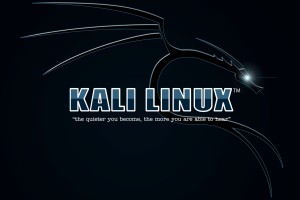 Kali Linux Wallpaper