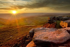 Landscape Wallpaper