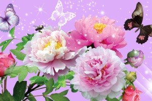 Sfondi Con Fiori